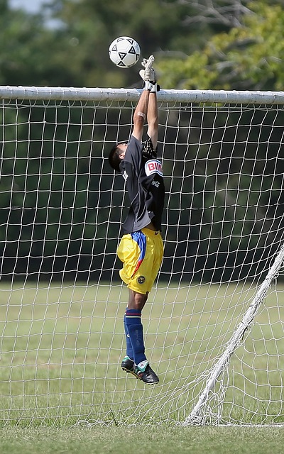 mk体育app下载：六连败！一定律揭示郑钦文下次大概率翻身.