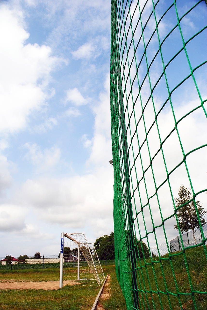 主优化词：米德尔斯堡主场坚若磐石，豪取四连胜